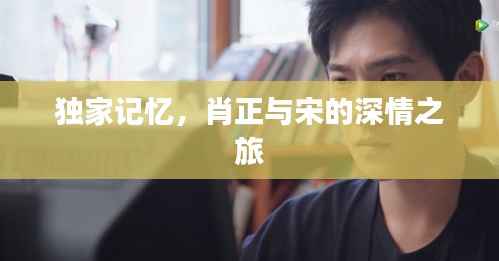 独家记忆,肖正与宋的深情之旅