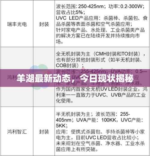 羊湖最新动态,今日现状揭秘