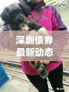 深圳债券最新动态,今日价格消息一网打尽!