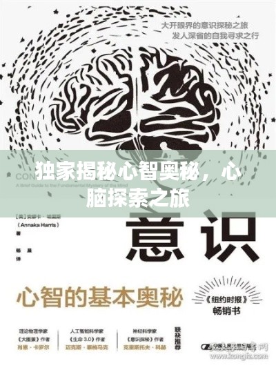 独家揭秘心智奥秘,心脑探索之旅