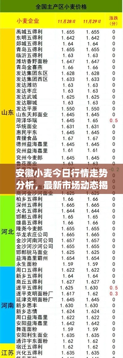 安徽小麦今日行情走势分析,最新市场动态揭秘
