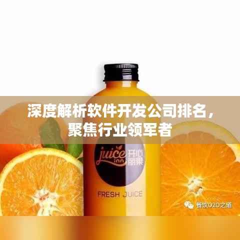 深度解析软件开发公司排名,聚焦行业领军者