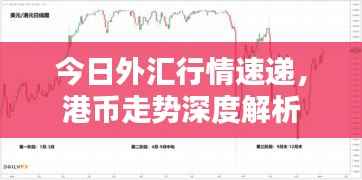 今日外汇行情速递，港币走势深度解析