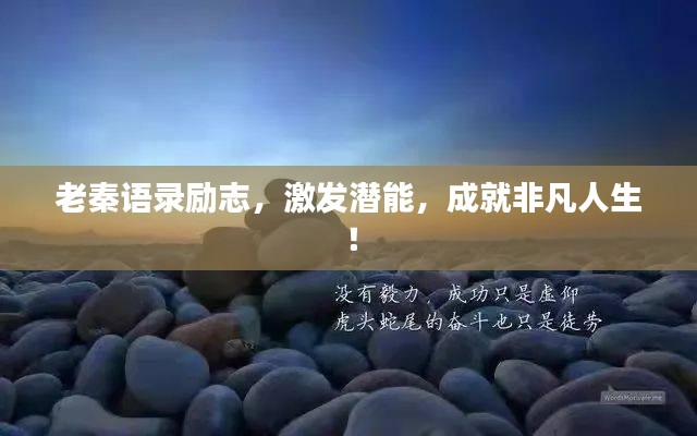 老秦语录励志，激发潜能，成就非凡人生！
