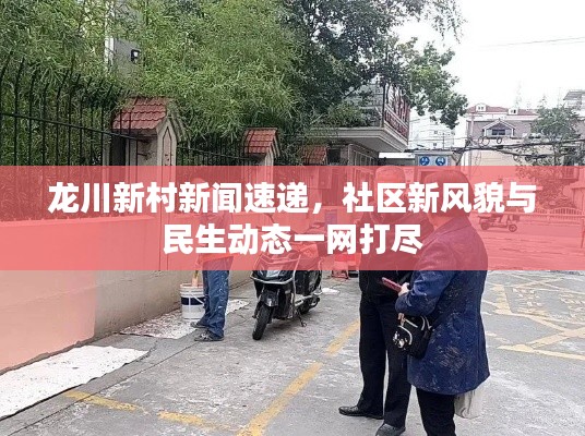 龙川新村新闻速递，社区新风貌与民生动态一网打尽