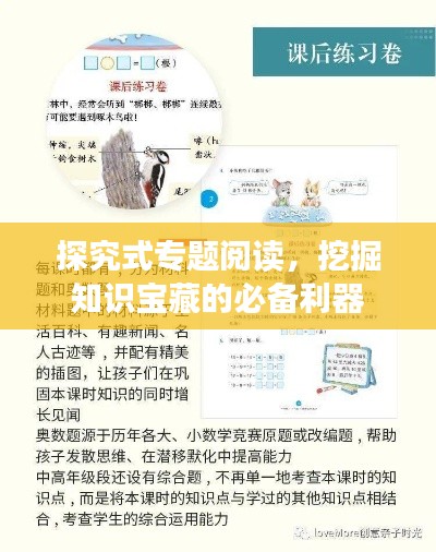探究式专题阅读，挖掘知识宝藏的必备利器