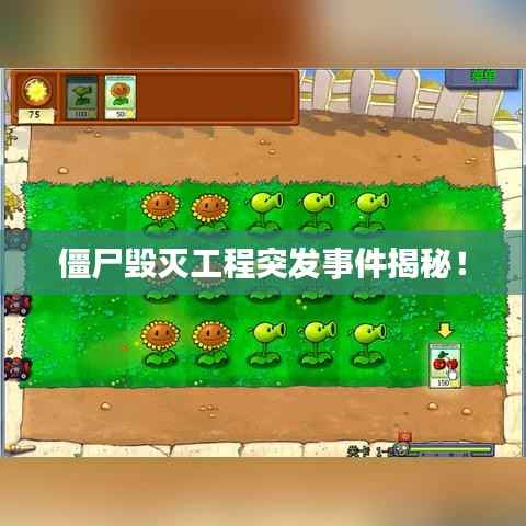 百不一遇