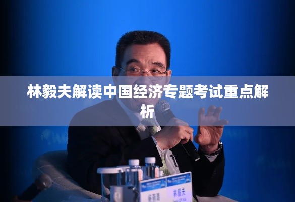林毅夫解读中国经济专题考试重点解析