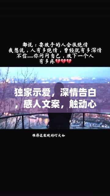 独家示爱，深情告白，感人文案，触动心灵瞬间