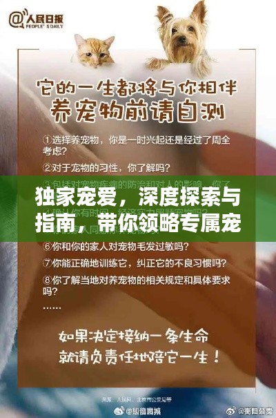 独家宠爱，深度探索与指南，带你领略专属宠爱世界！