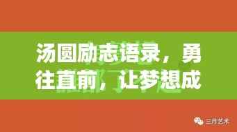令行禁止