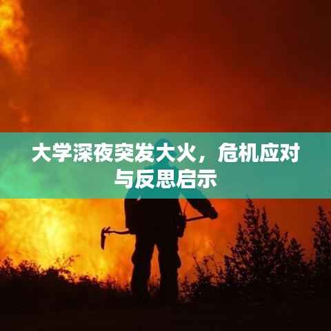 大学深夜突发大火,危机应对与反思启示