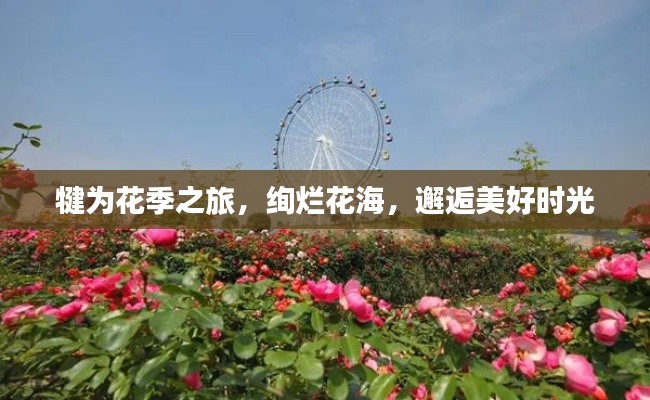 犍为花季之旅,绚烂花海,邂逅美好时光