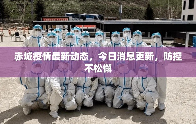 赤城疫情最新动态，今日消息更新，防控不松懈