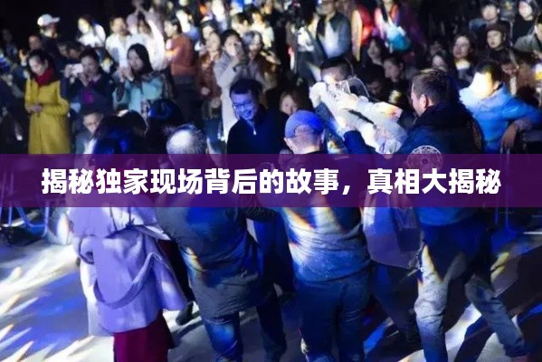 揭秘独家现场背后的故事，真相大揭秘