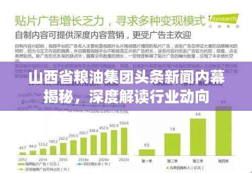 山西省粮油集团头条新闻内幕揭秘，深度解读行业动向