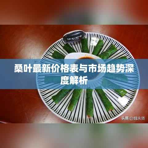 桑叶最新价格表与市场趋势深度解析