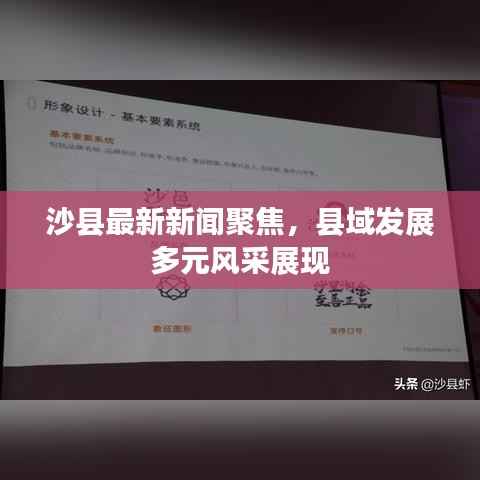 沙县最新新闻聚焦,县域发展多元风采展现