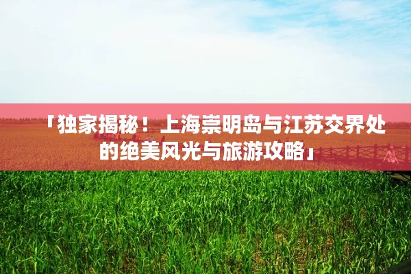 「独家揭秘!上海崇明岛与江苏交界处的绝美风光与旅游攻略」