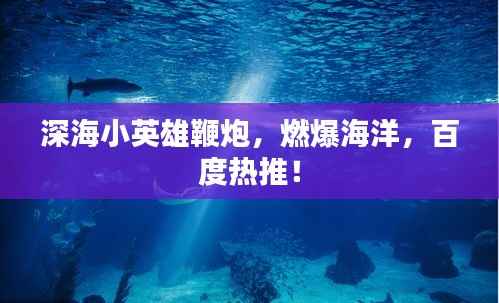 深海小英雄鞭炮，燃爆海洋，百度热推！