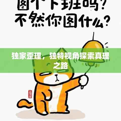 独家歪理,独特视角探索真理之路