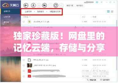 独家珍藏版！网盘里的记忆云端，存储与分享个人回忆的私密空间
