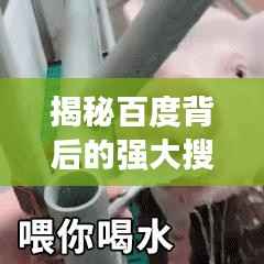 揭秘百度背后的强大搜索力量,探索搜索背后的力量