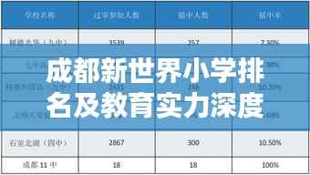 成都新世界小学排名及教育实力深度解析