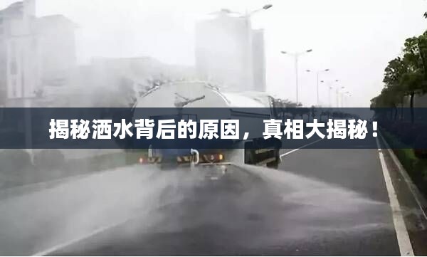 揭秘洒水背后的原因,真相大揭秘!