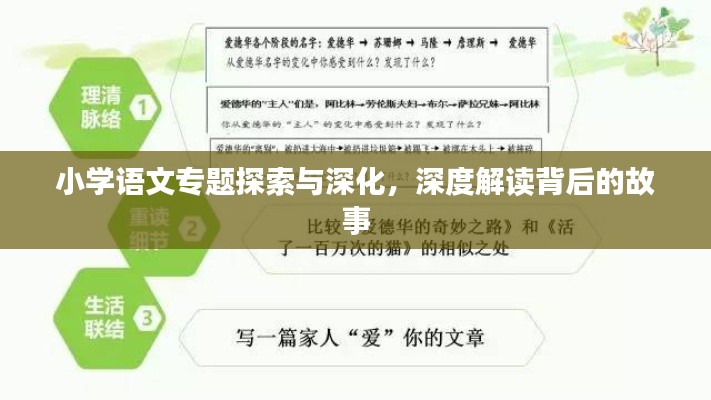 小学语文专题探索与深化,深度解读背后的故事