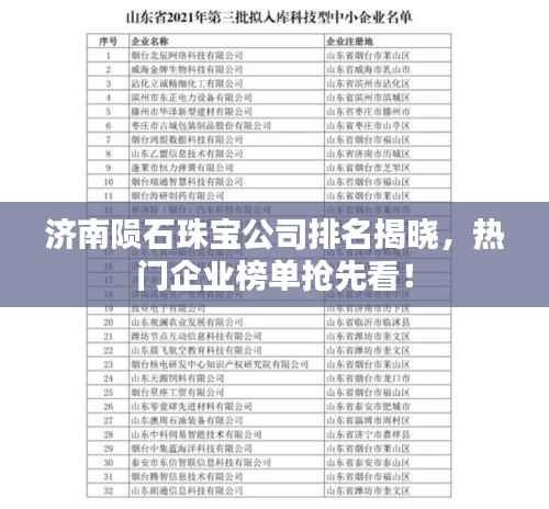 济南陨石珠宝公司排名揭晓,热门企业榜单抢先看!