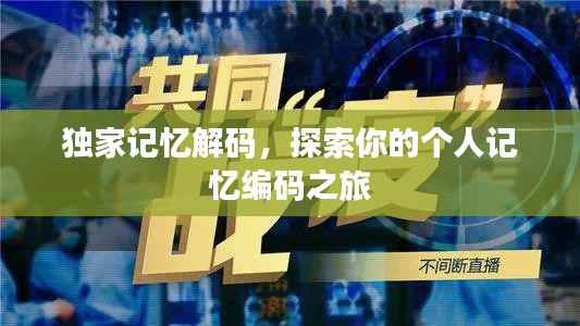 独家记忆解码,探索你的个人记忆编码之旅