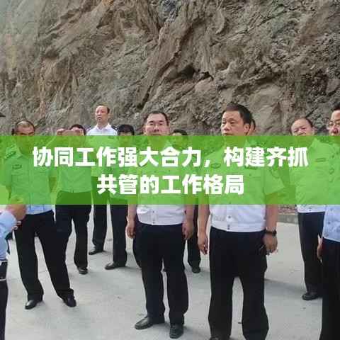 协同工作强大合力,构建齐抓共管的工作格局