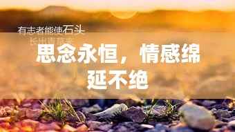 思念永恒,情感绵延不绝