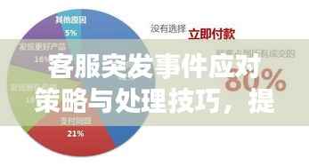 客服突发事件应对策略与处理技巧,提升服务效率,保障客户体验