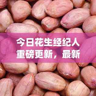 第383页