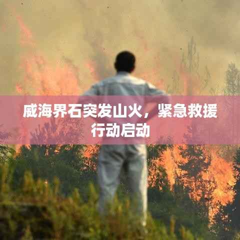威海界石突发山火，紧急救援行动启动