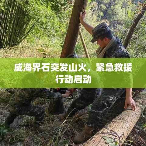 威海界石突发山火,紧急救援行动启动